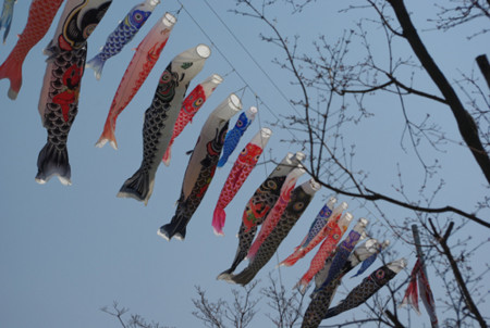 f:id:irajiomura:20110401133708j:image