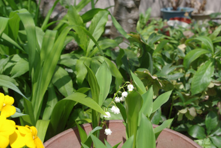 f:id:irajiomura:20110410122414j:image
