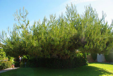 f:id:irajiomura:20110514174652j:image