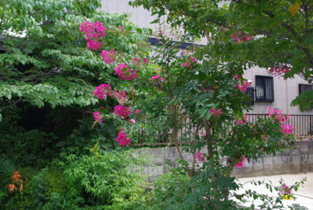 f:id:irajiomura:20110717134451j:image