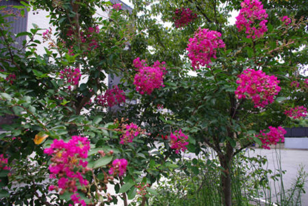 f:id:irajiomura:20110717135220j:image