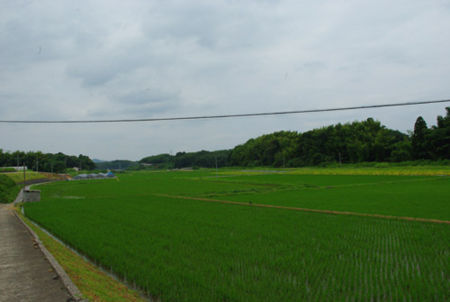 f:id:irajiomura:20110728114717j:image