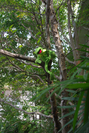 f:id:irajiomura:20110903124848j:image