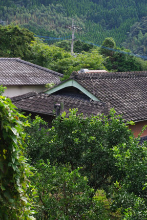 f:id:irajiomura:20111009141752j:image