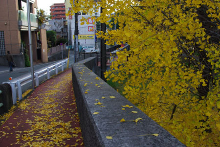 f:id:irajiomura:20111207134938j:image