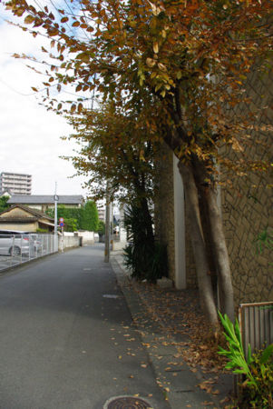 f:id:irajiomura:20111207135047j:image