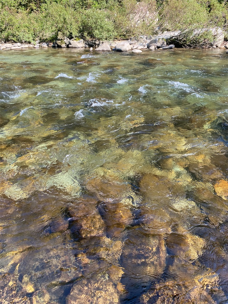 f:id:iregakari:20230723052833j:image f:id:iregakari:20230723052833j:image