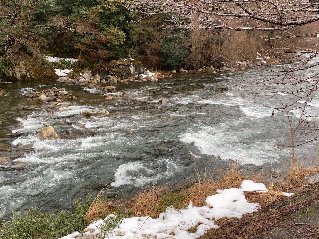 f:id:iregakari:20250304074441j:image