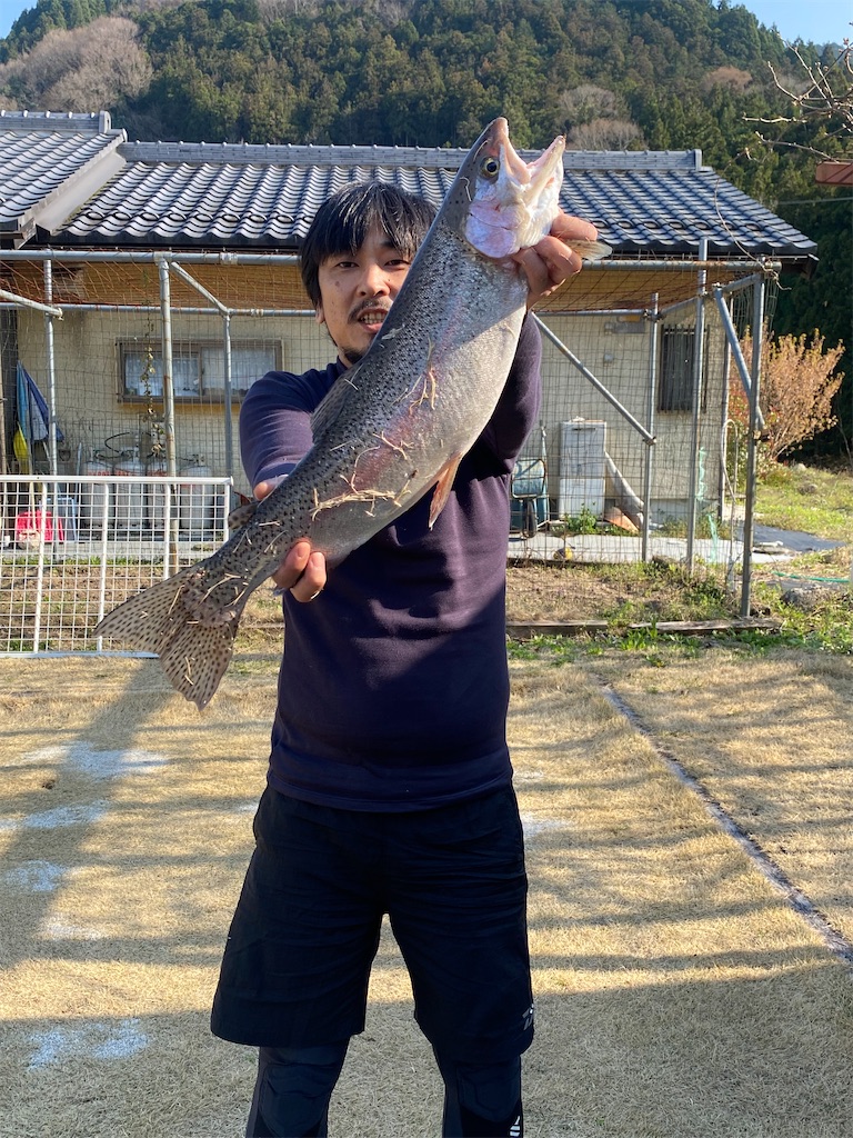 f:id:iregakari:20250407155557j:image