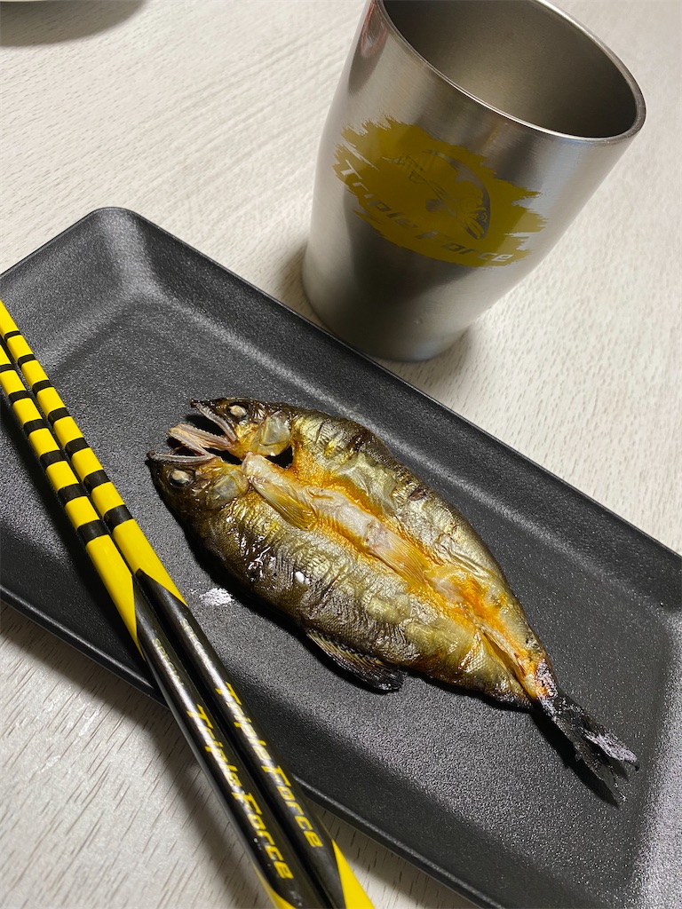 f:id:iregakari:20251128200650j:image