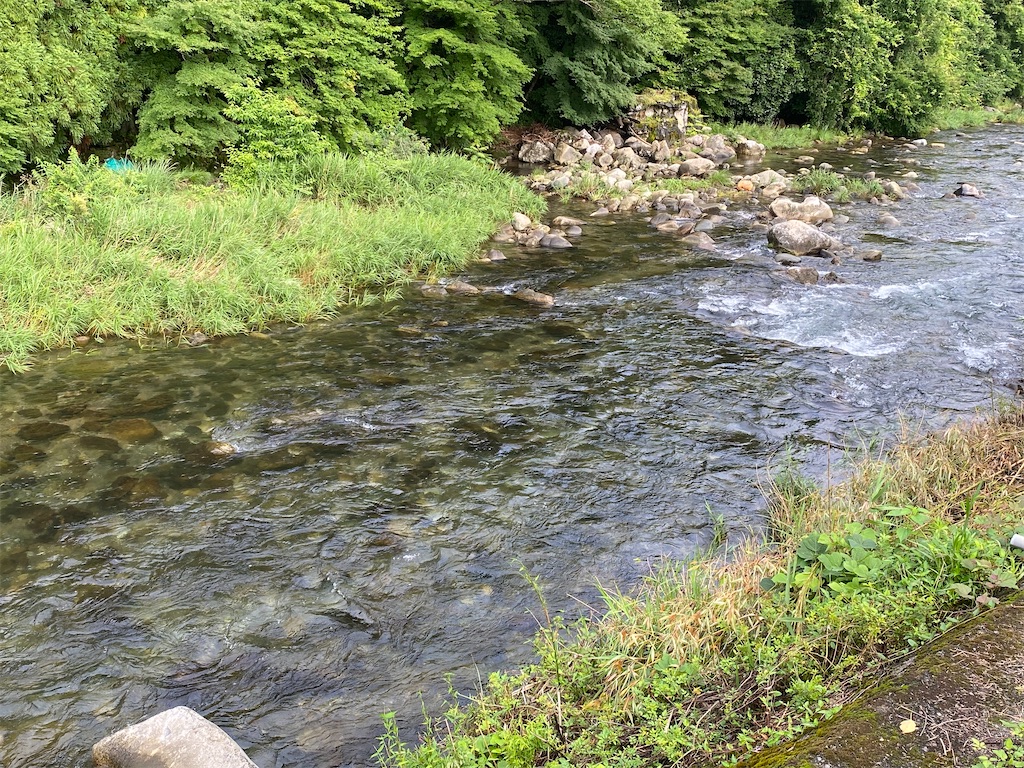 f:id:iregakari:20260707073226j:image