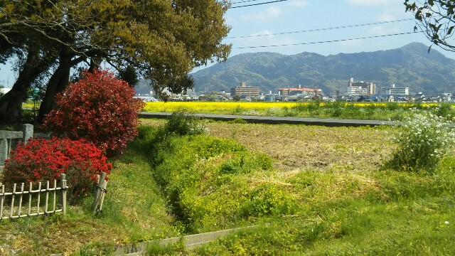 f:id:irie8428yumiko:20190418123945j:image