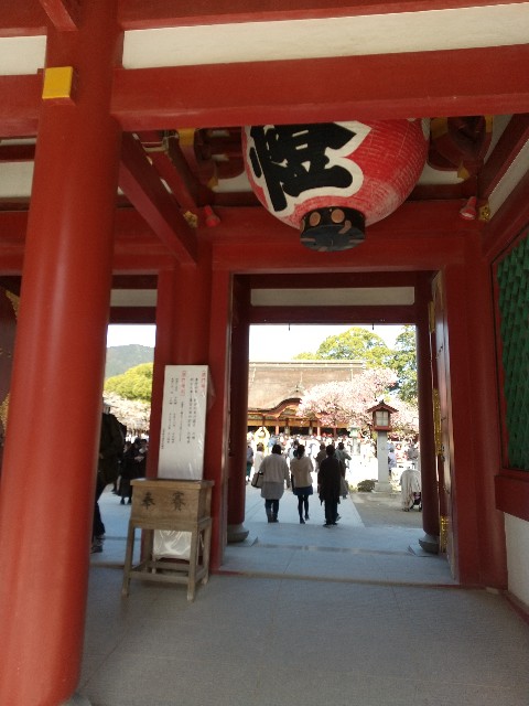 f:id:irie8428yumiko:20200224123723j:image