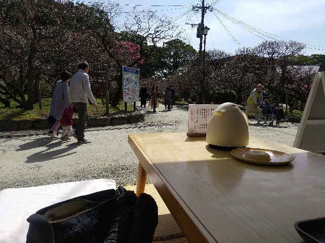f:id:irie8428yumiko:20200224124722j:image