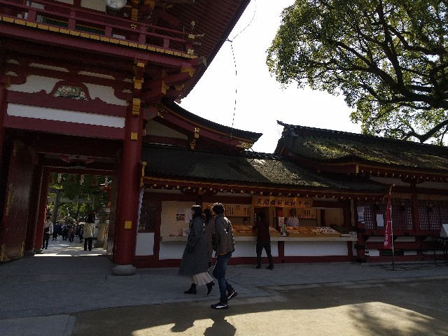 f:id:irie8428yumiko:20200224134813j:image