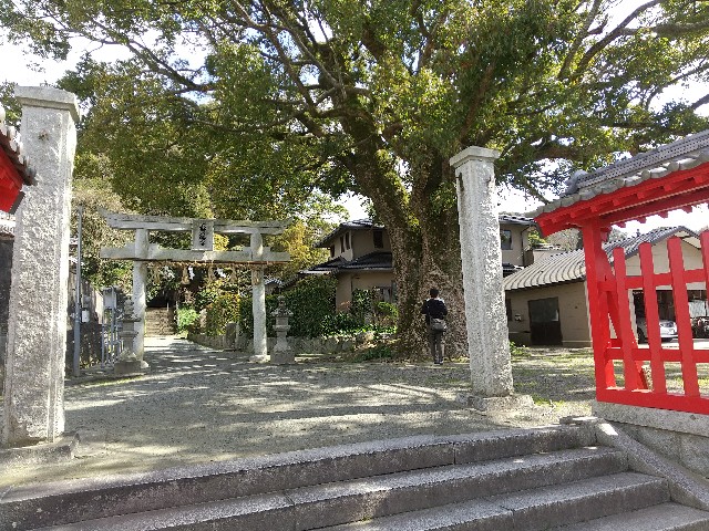 f:id:irie8428yumiko:20200316142623j:image f:id:irie8428yumiko:20200316142623j:image