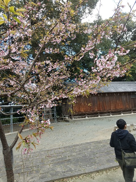 f:id:irie8428yumiko:20200316144203j:image f:id:irie8428yumiko:20200316144203j:image