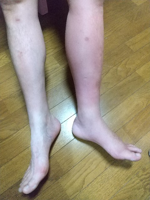 f:id:irie8428yumiko:20200322231347j:image