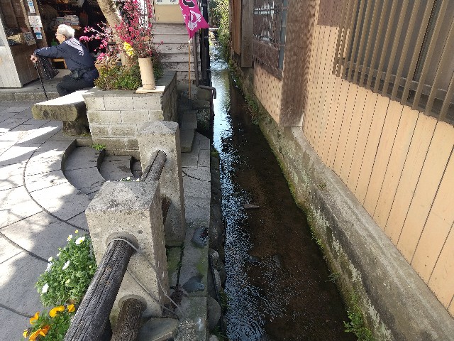 f:id:irie8428yumiko:20200323104955j:image