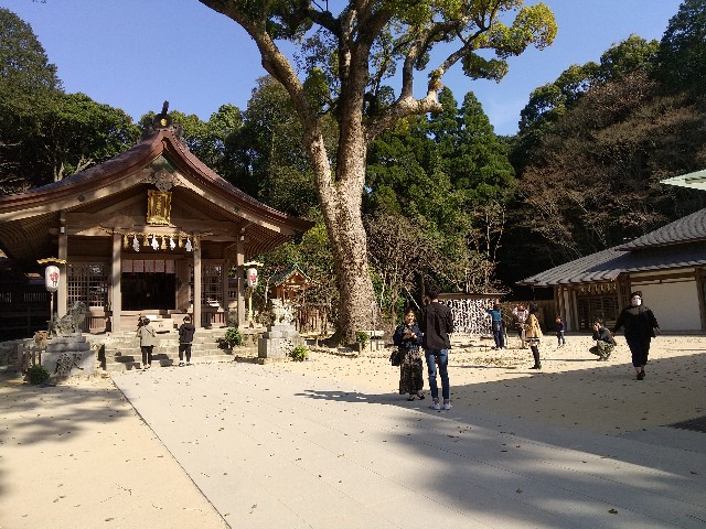 f:id:irie8428yumiko:20200323155456j:image