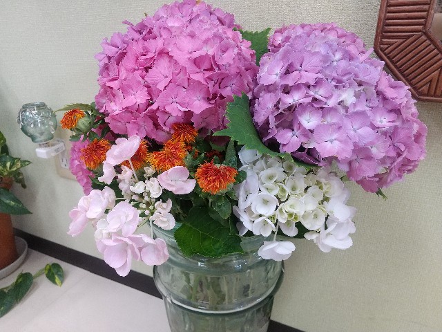 f:id:irie8428yumiko:20200611140849j:image f:id:irie8428yumiko:20200611140849j:image