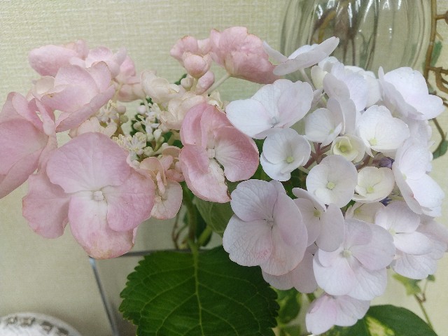 f:id:irie8428yumiko:20200614124923j:image
