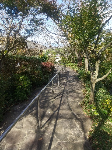 f:id:irie8428yumiko:20201110183345j:image