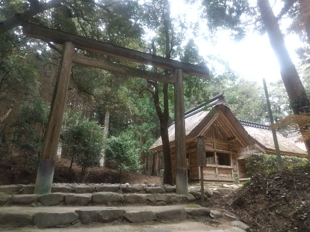 f:id:irie8428yumiko:20201230230845j:image