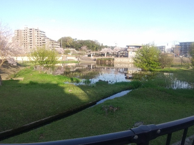f:id:irie8428yumiko:20210329082412j:image