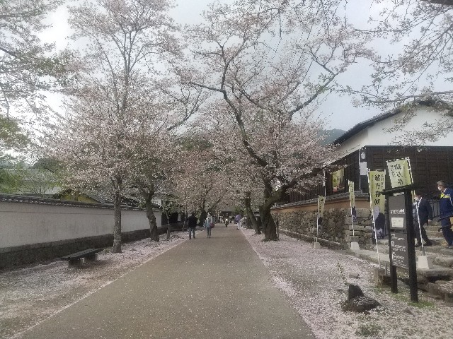 f:id:irie8428yumiko:20210331104302j:image
