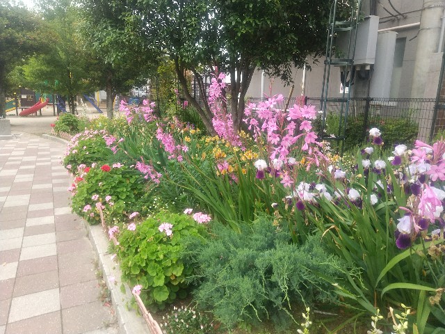 f:id:irie8428yumiko:20210520103940j:image