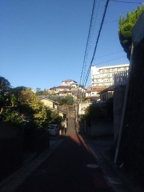f:id:irie8428yumiko:20210929132340j:image