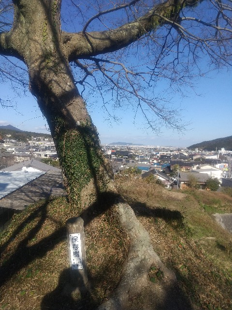 f:id:irie8428yumiko:20220101174631j:image