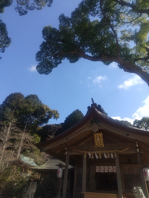 f:id:irie8428yumiko:20220131174230j:image