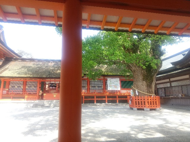 f:id:irie8428yumiko:20220426105358j:image