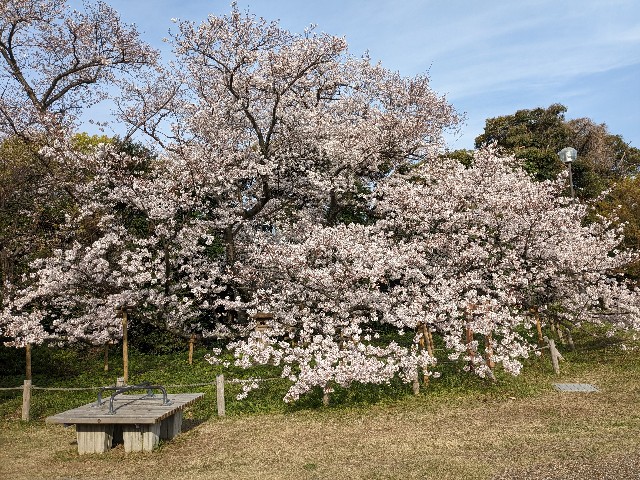 f:id:irie8428yumiko:20230331162906j:image f:id:irie8428yumiko:20230331162906j:image