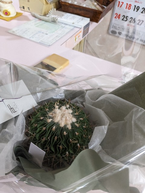f:id:irie8428yumiko:20230921223903j:image