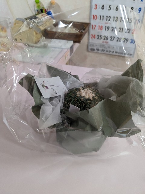 f:id:irie8428yumiko:20230921223917j:image