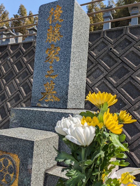 f:id:irie8428yumiko:20240318221615j:image