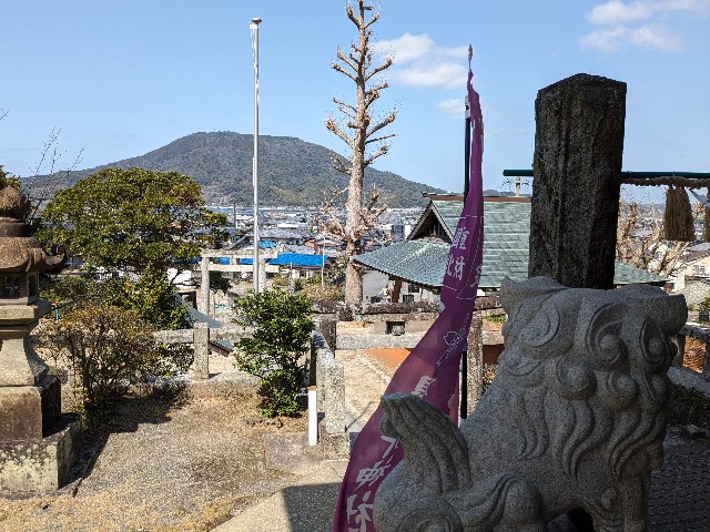 f:id:irie8428yumiko:20240318221921j:image