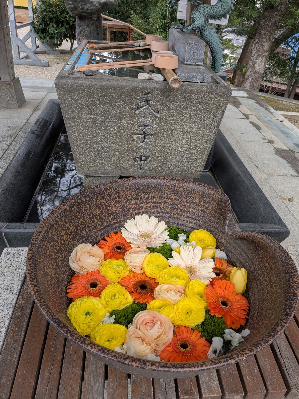 f:id:irie8428yumiko:20260322132907j:image