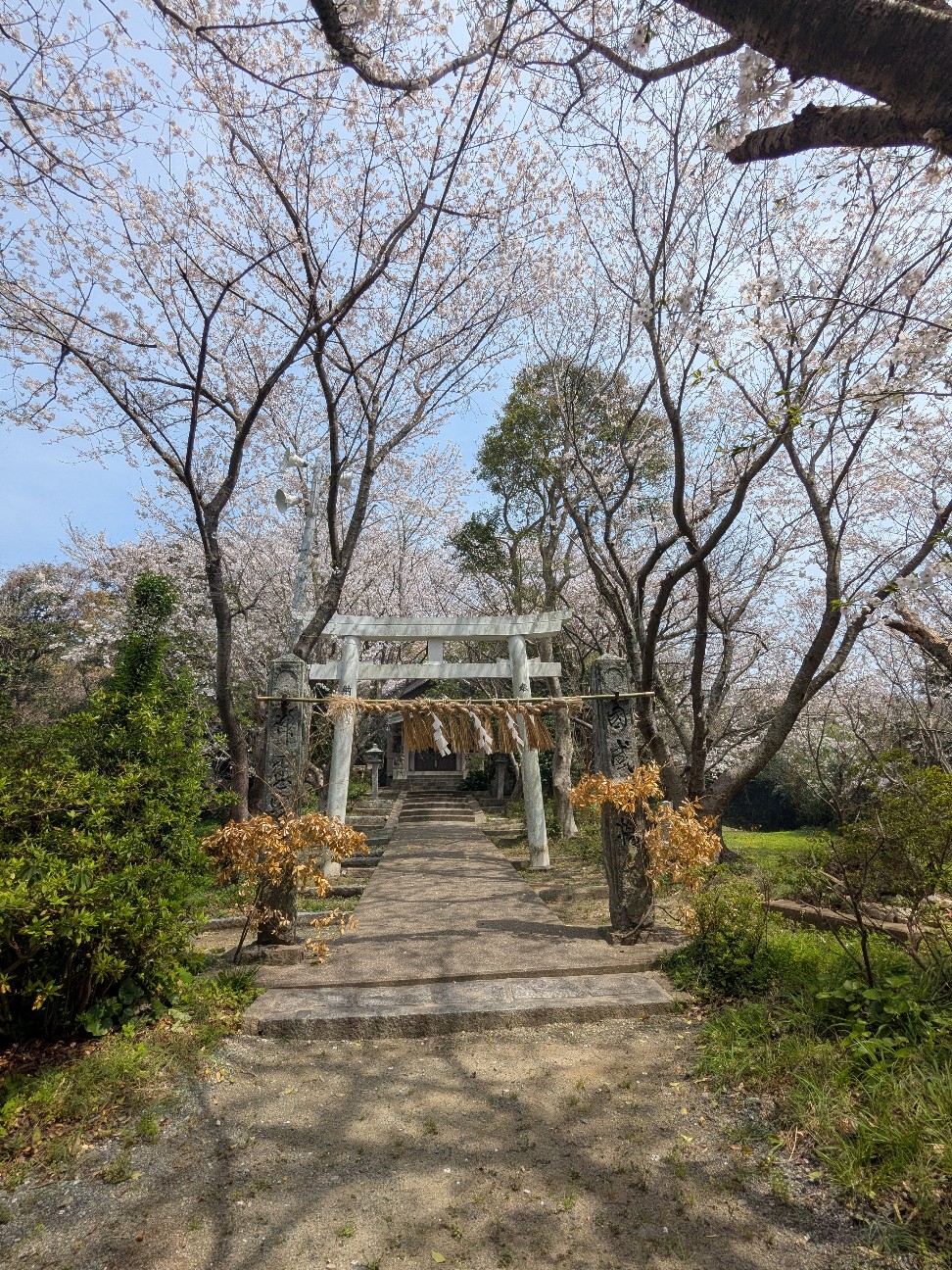 f:id:irie8428yumiko:20260404215059j:image