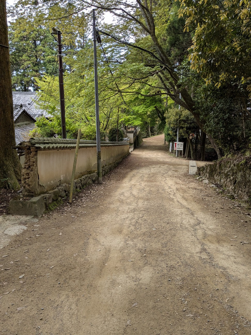 f:id:irie8428yumiko:20260418212037j:image