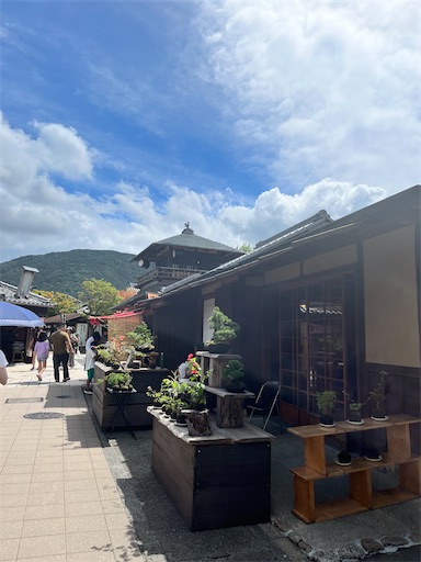 f:id:iriekotoko:20240214195250j:image f:id:iriekotoko:20240214195250j:image