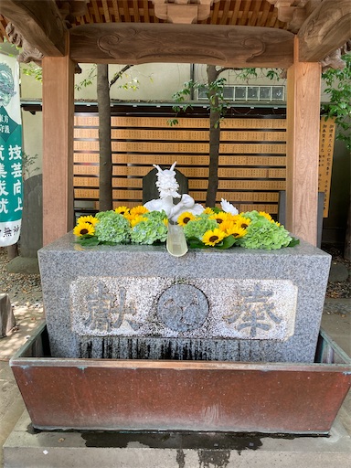 f:id:iriekotoko:20240714070022j:image