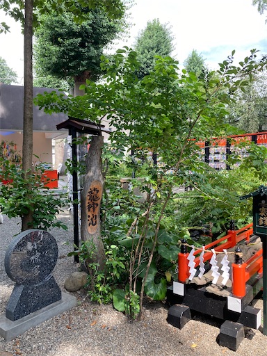 f:id:iriekotoko:20240714070102j:image