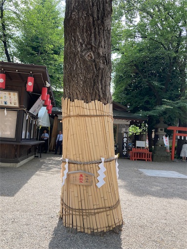 f:id:iriekotoko:20240714165722j:image