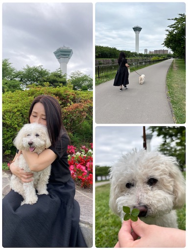 f:id:iriekotoko:20250617184657j:image
