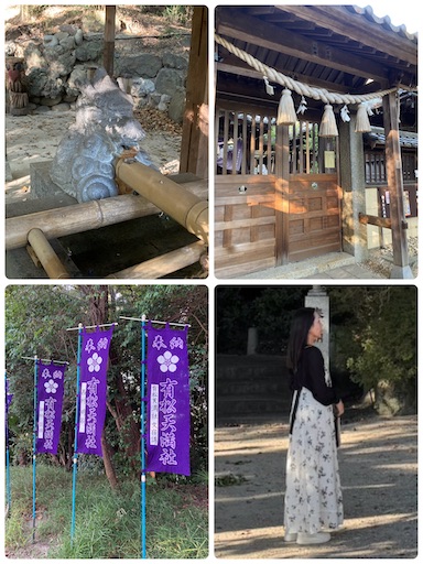 f:id:iriekotoko:20250902053143j:image f:id:iriekotoko:20250902053143j:image