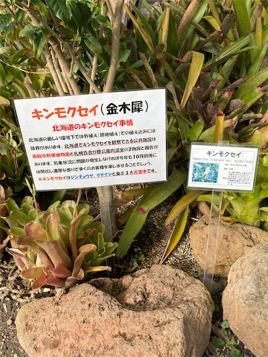 f:id:iriekotoko:20260224195613j:image